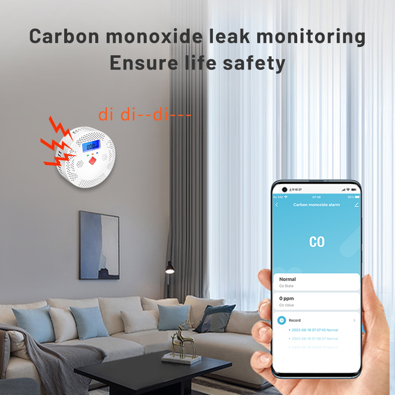 Tuya-Détecteur de monoxyde de  - Co Detector Plug avis et prix